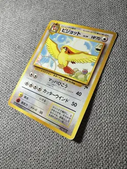 Pokemon Pidgeot Japanese Old Back Southern Islands - Image 2