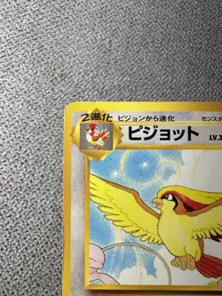 Pokemon Pidgeot Japanese Old Back Southern Islands - Image 3