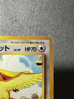 Pokemon Pidgeot Japanese Old Back Southern Islands - Image 4