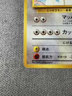Pokemon Pidgeot Japanese Old Back Southern Islands - Image 5
