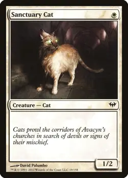 Dark Ascension Sanctuary Cat MTG Magic the Gathering NM - Image 1