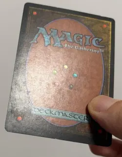 MTG JAPANESE TEMPEST ELADAMRI LORD OF LEAVES MAGIC THE GATHERING CREATURE #A - Image 5