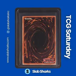 2003 YU-GI-OH! TOURNAMENT PACK 3RD SEASON #TP3-001 NEEDLE WORM - Image 2