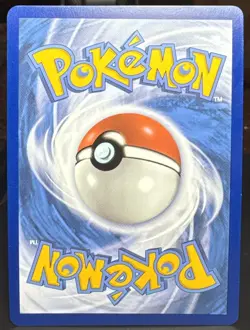 Pokemon TCG Stoutland V 116/159 Crown Zenith Full Art Holo Card - Image 2