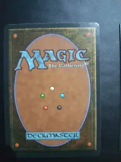 Mtg Misprint Plains Forest Wald German Black Border Revised Basic Land Error NM - Image 3