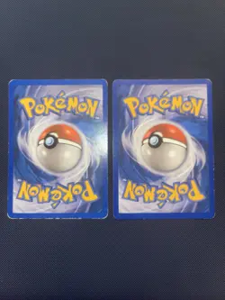 Pokemon TCG Torchic And Mudkip Holo Stamped Cards - Image 5