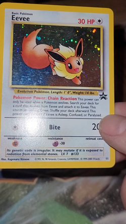 Pokemon TCG - Eevee 11/53 WOTC Black Star Promo Holo Foil Card - Image 2