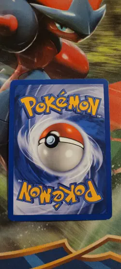 Pokemon TCG - Eevee 11/53 WOTC Black Star Promo Holo Foil Card - Image 3
