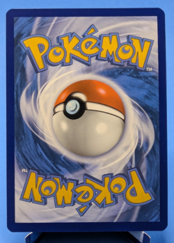 Bidoof GG29/GG70 Pokemon TCG 2023 Rare Holo Galarian Gallery Crown Zenith NM - Image 2