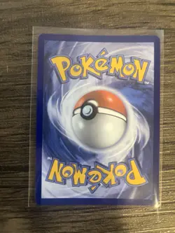 Shuckle 136/132 ME01 Mega Evolution Illustration Card Near Mint Condition - Image 4