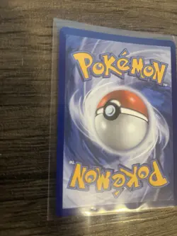Shuckle 136/132 ME01 Mega Evolution Illustration Card Near Mint Condition - Image 5