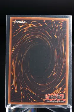 Castle Walls Starter Deck Yugi SDY-049 1st Edition Yu-Gi-Oh Card LP - Image 2