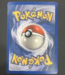 Raikou Skyridge Holo Rare Pokemon Card H26/H32 - Image 2