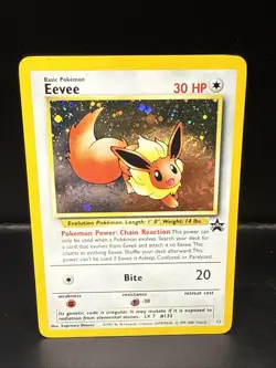 Pokemon - Eevee 11/53 - Wotc - Black Star Promo Holo Swirl BC - Image 2