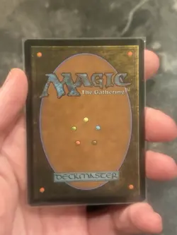 Turtles in Time (Showcase) Teenage Mutant Ninja Turtles *F* - Image 2