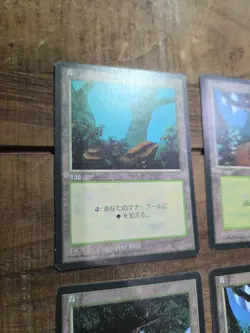 Magic the Gathering MTG Forest Lot Japanese german french Mix U - Image 3