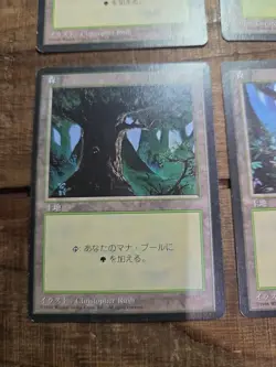 Magic the Gathering MTG Forest Lot Japanese german french Mix U - Image 4