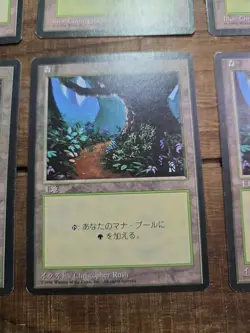 Magic the Gathering MTG Forest Lot Japanese german french Mix U - Image 5