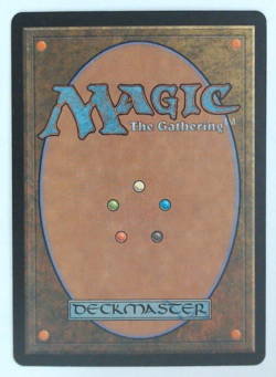 MTG Bling - Foil Old Border Retro Basic - Forest (347) - Mercadian Masques -i62 - Image 2