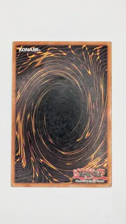 Yugioh - Red Eyes Black Dragon | SDDC-EN003 | 1st Edition | - Image 2