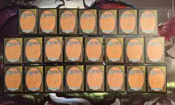 23x Island MtG Odyssey [ODY] NM-LP-MP Magic the Gathering Basic Land - Image 2