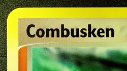 Combusken 29/108 Stamped Pokemon EX Power Keepers 2007 Vintage Reverse Holo NM - Image 4