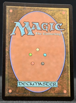 Dragonborn Champion – Borderless Extended Art – AFR 314 - Image 2