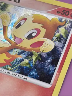 Chimchar 014/017 Pop Series 6 Holo Mid-Era Pokemon Card - Image 4