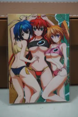 Rias Gremory Xenovia Irina Beach High School DxD Sexy Waifu Textured Custom Card - Image 2