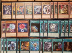 Gem-Knight Black Garden Deck: Casual Yu-Gi-Oh Deck - Image 2