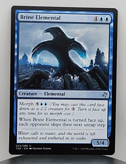 Brine Elemental - Time Spiral - TSP - 50 - MTG - Image 1