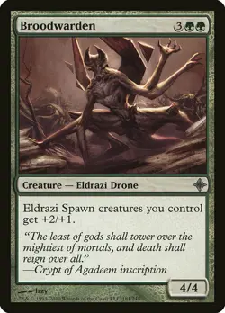 1x Broodwarden - NM English MTG - Rise of the Eldrazi - Image 1