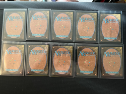 Full Art Land set (10 Lands) - Lorwyn Eclipsed - MtG - Image 2