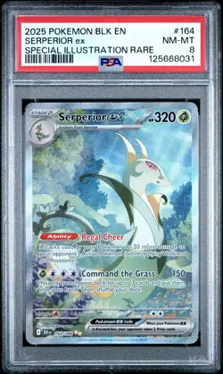 2025 Pokemon -Black Bolt #164 Serperior Ex Special Illustration Rare PSA 8 - Image 1