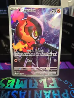 Charcadet MEP 022 (NM) - Mega Evolution Black Star Promo - Pokemon TCG - Image 1