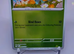 Bulbasaur 001/132 Pokemon Day 2026 - Pokemon TCG Mega Evolutions Promo NM - Image 4