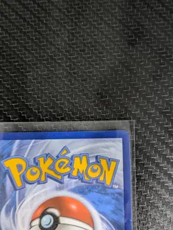 Pokemon Card 2021 GRENINJA Gold Star Black Star Promo SWSH144 Celebrations NM/M - Image 5