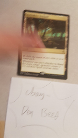 Magic the Gathering MTG: Forbidden Orchard OPS BAD PHOTO, MINT CARD - Image 1