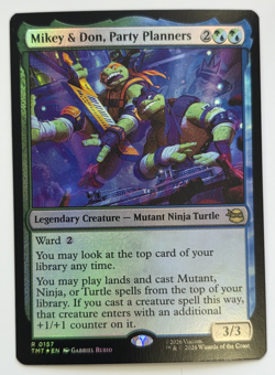 Mikey & Don, Party Planners Teenage Mutant Ninja Turtles Foil - Image 1