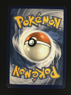 Reshiram & Charizard GX - SM201 GD Sun & Moon - SM Black Star Promos Pokemon TCG - Image 3