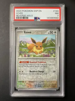 Eevee 143 PSA 7 2024 Pokemon Reverse Holo SSP EN - Image 1