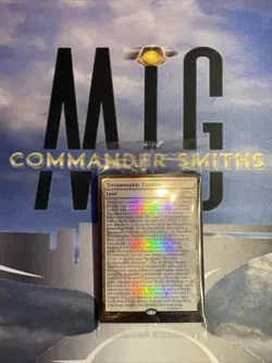 1x Terramorphic Expanse ✨ FOIL ✨ Secret Lair MTG NM Near Mint Full Text Sealed - Image 1