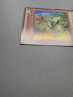 Yu-Gi-Oh! Pilica, Descendant Of Gusto Super Rare 1st Edition PRIO-EN029 LP - Image 4