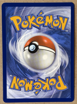 Bloodmoon Ursaluna Ex Holo Twilight Masquerade Hyper Rare 222/167 Pokemon TCG - Image 2