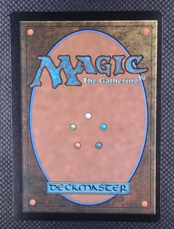 Abundant Countryside 0022 - MTG Commander: Lorwyn Eclipsed - regular - Image 2