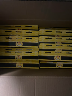 Pokemon TCG: Pokemon Day 2026 Collection set of 12 New In Hand - Image 2