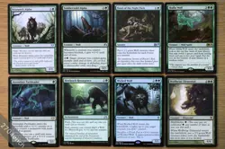 Set 8 Different Rare & Uncommon Wolf Creatures Magic MTG Commander Group Wolves - Image 1