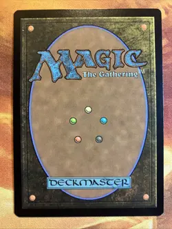 MTG Rainbow Foil Borderless Prosperous Innkeeper Secret Lair Drop Series NM!! - Image 2