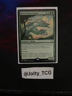 Neverwinter Hydra Commander: Adventures in the Forgotten Realms Regular - Image 1