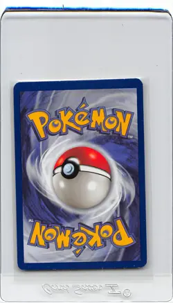 Dark WARTORTLE 46/82 - 1ST EDITION - TEAM ROCKET - VINTAGE Pokemon CARD - NM/LP - Image 2